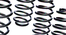 Lowering Springs